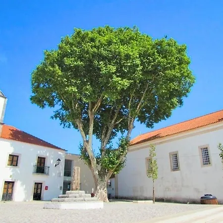 Duarte T2 - Com Vista Mar Dom wakacyjny